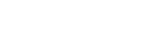 Mestizo Lab